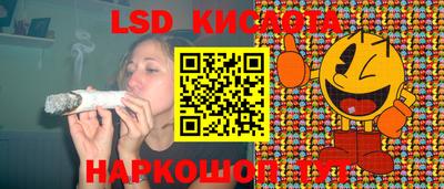 стафф Шахты