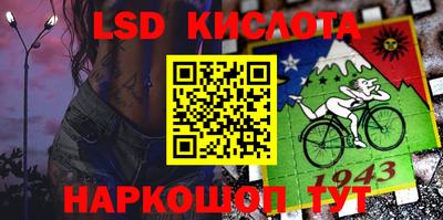 шишки Шелехов