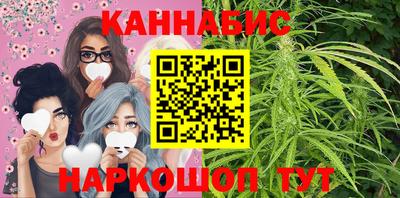 шишки Шелехов