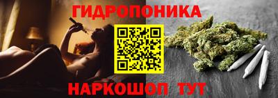 стафф Шахты