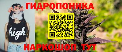 шишки Шелехов