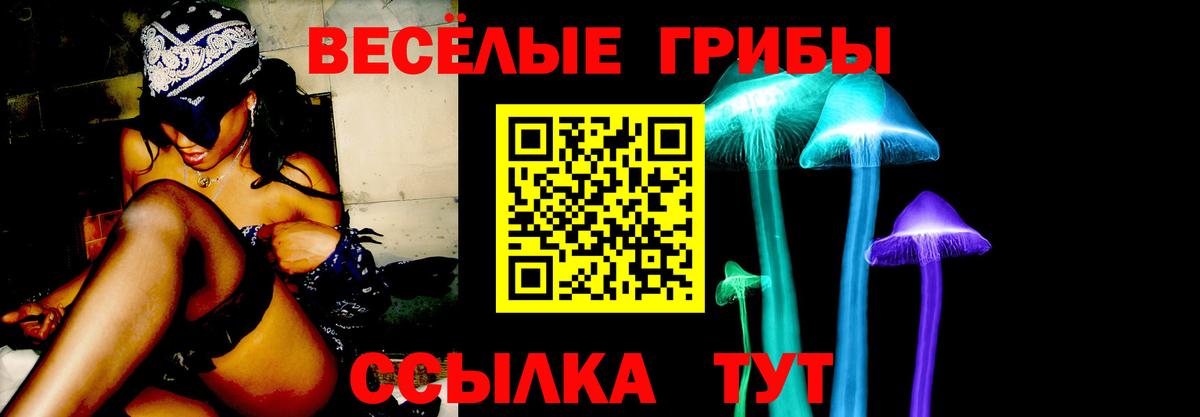 Псилоцибиновые грибы Cubensis  Вход с VPN  закладка  Норильск 